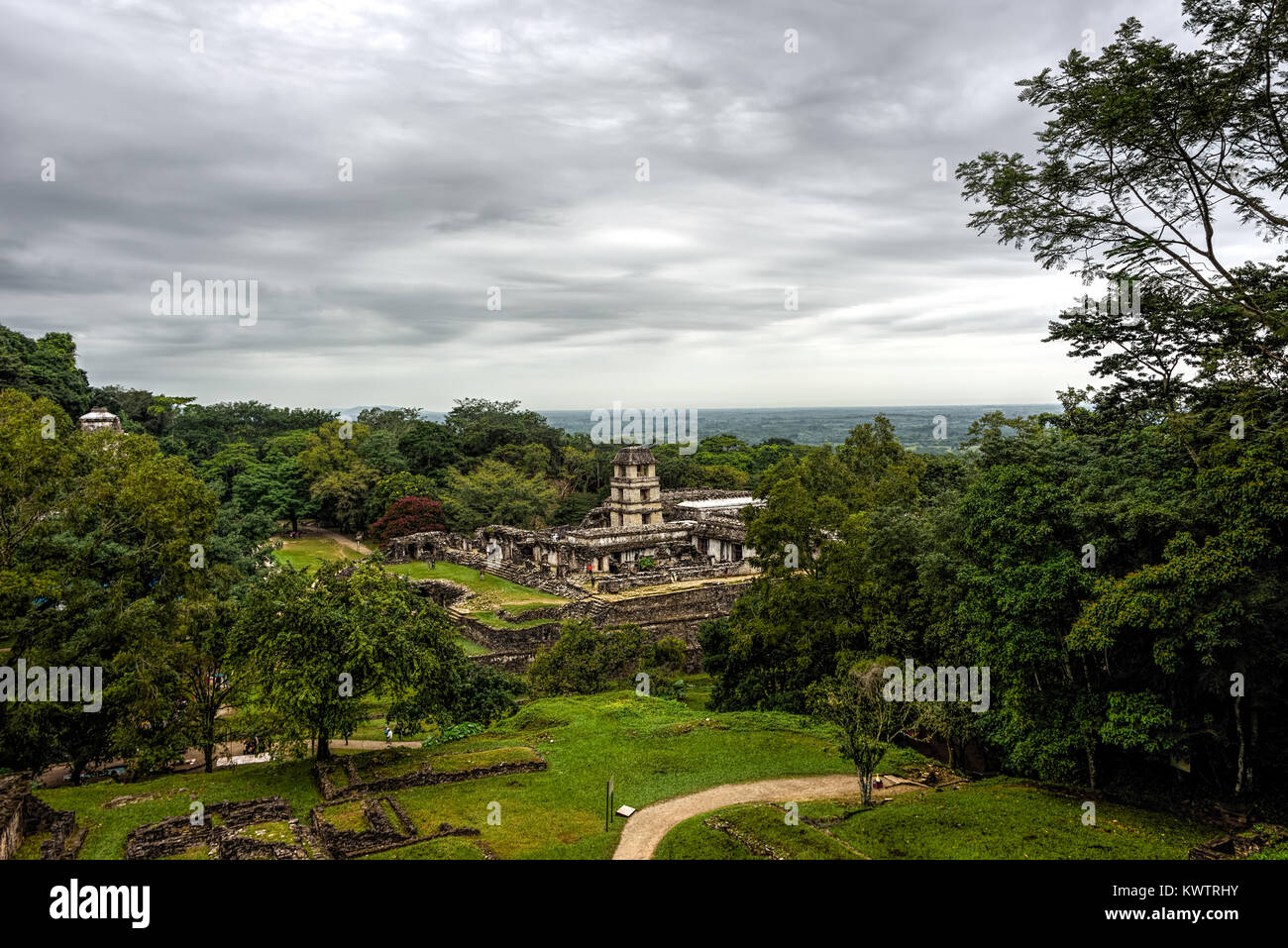 Panoramablick auf alten Maya Stadt Palenque mit einem grünen Dschungel bedeckt Stockfoto