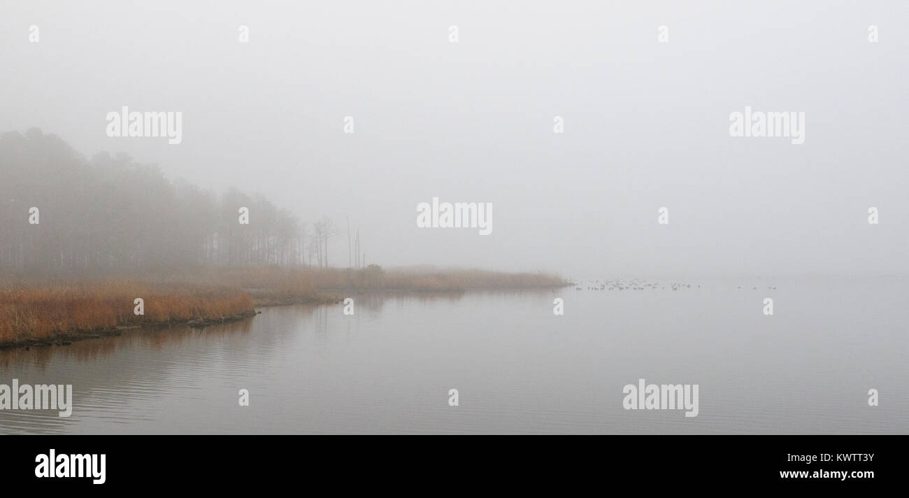 Blackwater National Wildlife Refuge, Cambridge, Maryland. Stockfoto