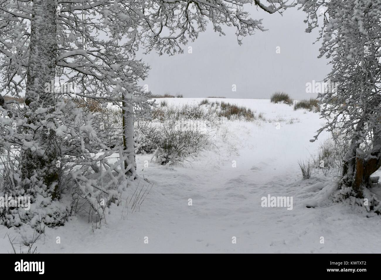 Winterlandscape im Schnee draussen Inverkip Stockfoto