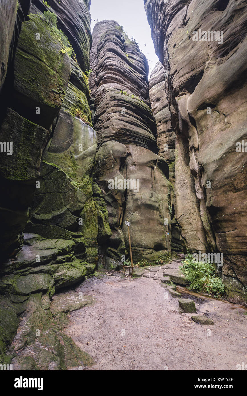 Wanderweg im Naturschutzgebiet Adrspach-Teplice Felsen in der Nähe von Teplice nad Metuji Stadt in Böhmen region, Tschechische Republik Stockfoto