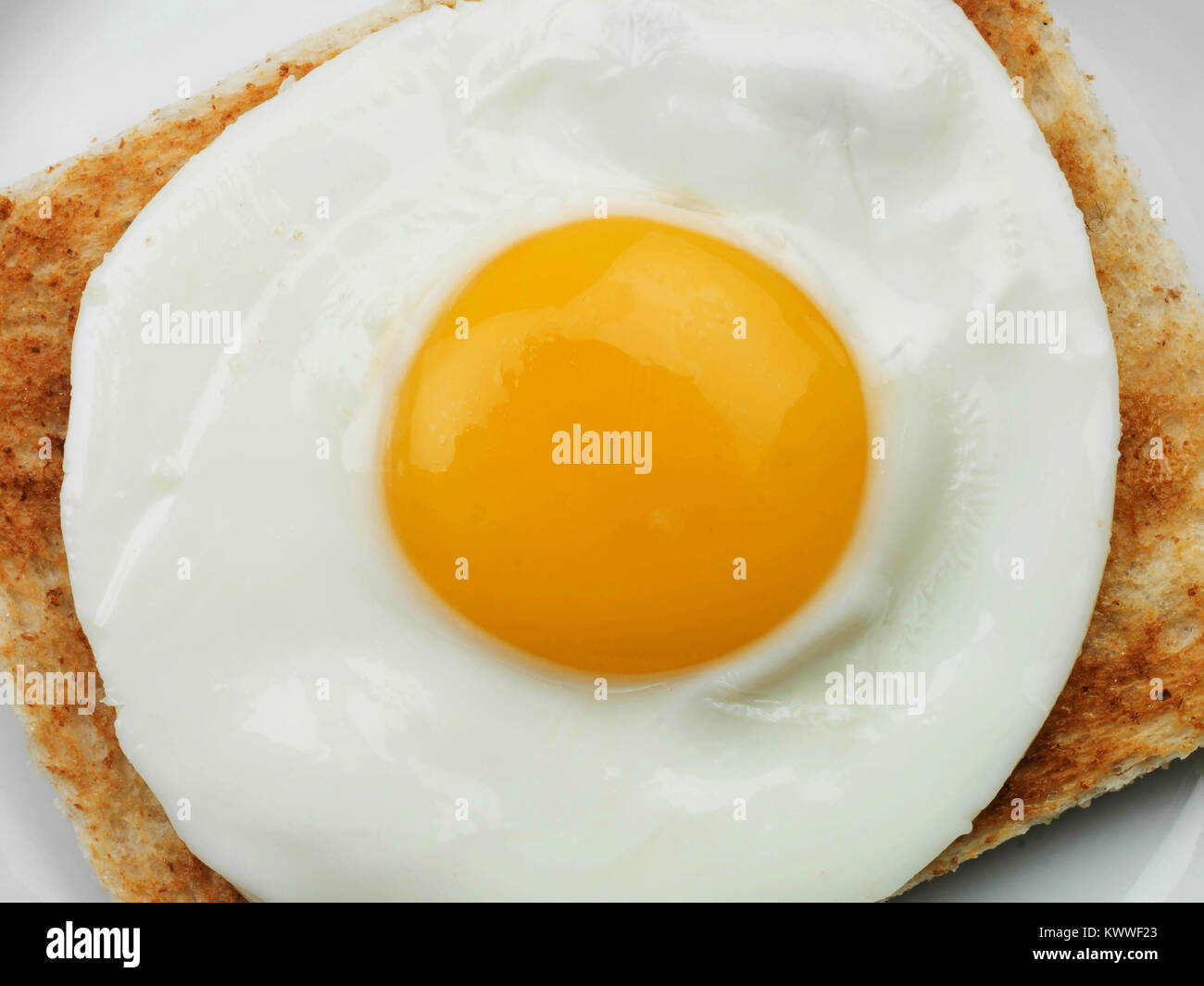 Gesundes Frühstück essen oder Snack einer Singel Spiegelei auf Toast Stockfoto
