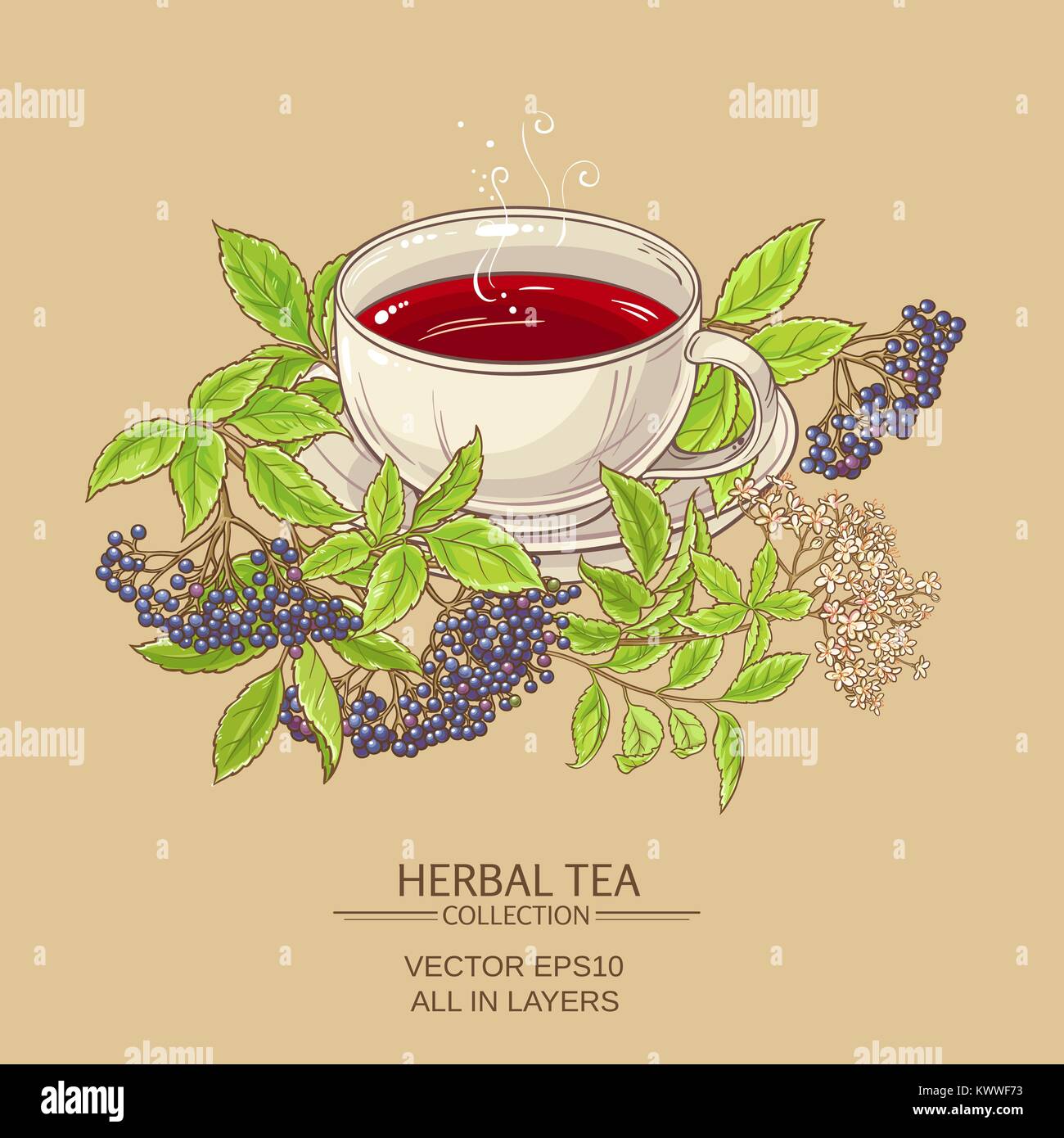 Tasse Holunder Tee auf farbigen Hintergrund Stock Vektor