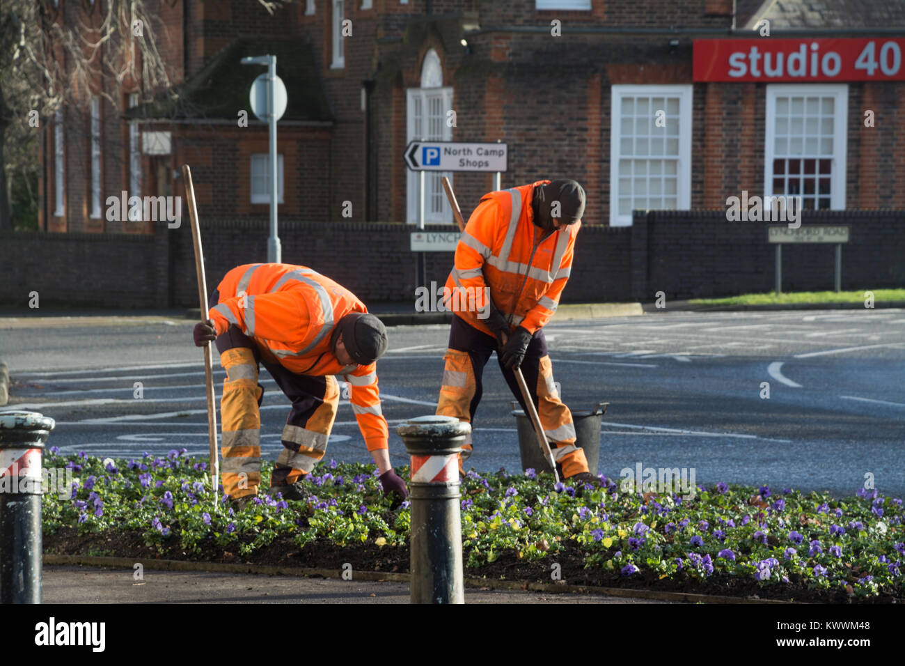 Gärtner arbeiten unter Blumenbeet in Farnborough, Hampshire, Großbritannien, für Rushmoor Borough Council Stockfoto