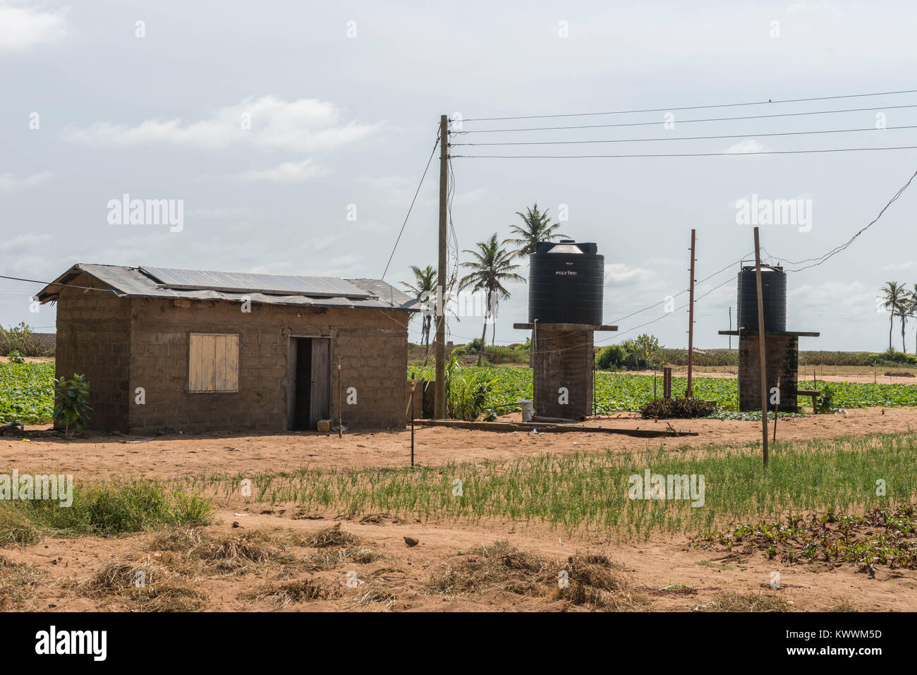 Solarzellen auf dem Dach, die saubere Energie für die Bewässerung von Feldern, Anloga, Volta Region, Ghana, Afrika Stockfoto