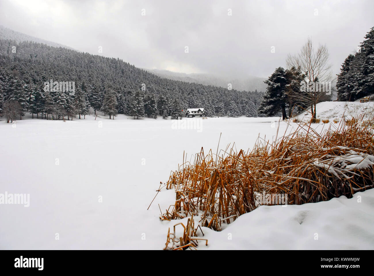 Winter in Golcuk Nationalpark in der Provinz Bolu Türkei. Stockfoto