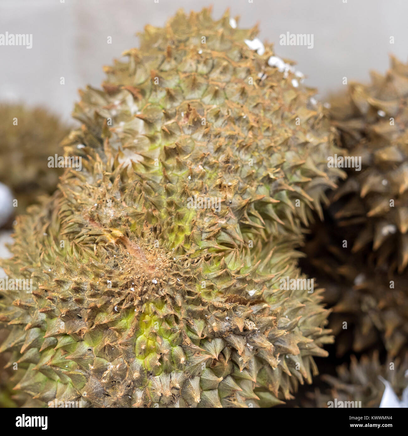 Nahaufnahme von thailändischem Durian Fruit an einem Marktstand Stockfoto