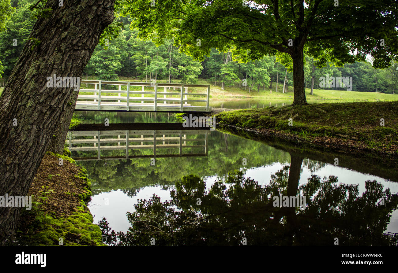 Schöne Ohio Forest Stream Landschaft. Wanderweg kreuzt eine hölzerne Brücke über einen kleinen Bach in der pastorale Einstellung der Scioto Trail State Park Stockfoto