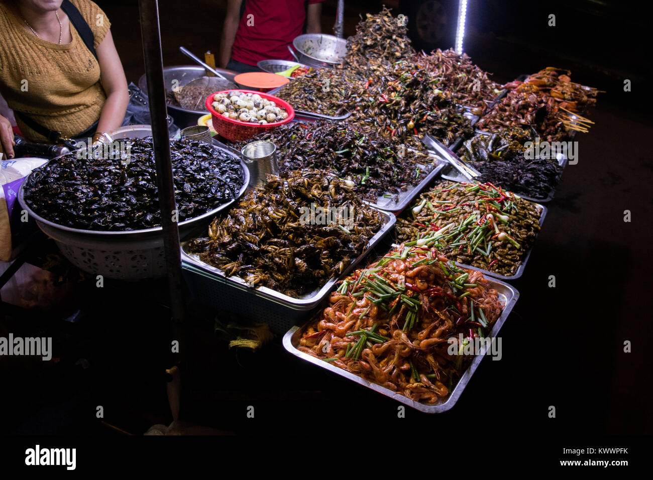 Eine Frau verkaufen Asiatische Küche Street Food, einschließlich gebratene Insekten grillen Schaben Garnelen Wachteleier in Phnom Penh, Kambodscha, Südostasien Stockfoto
