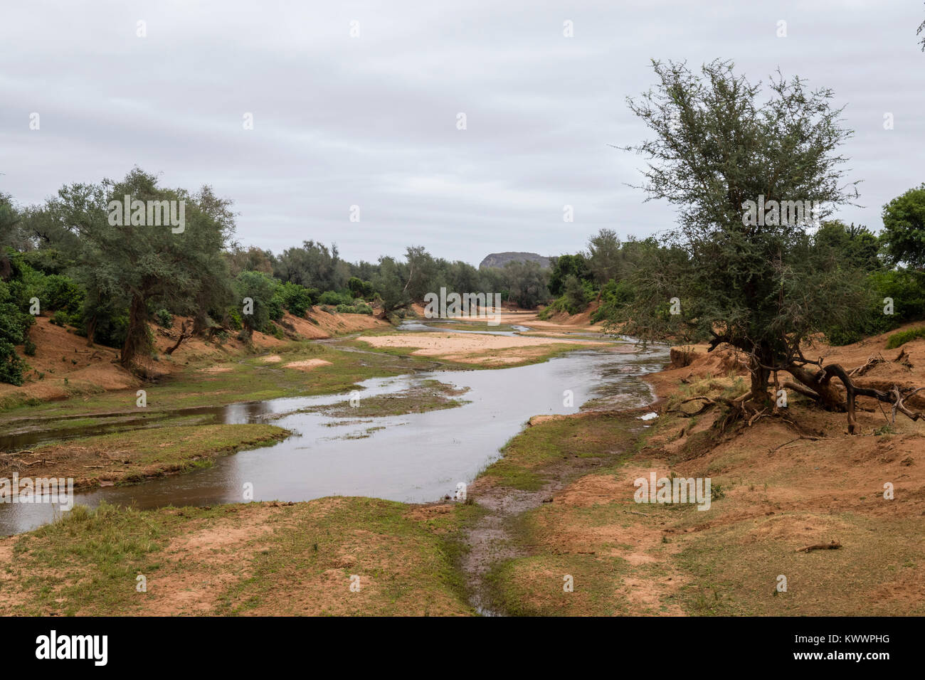 Luvuvhu Fluss, Pafuri, Kruger National Park, November Stockfoto
