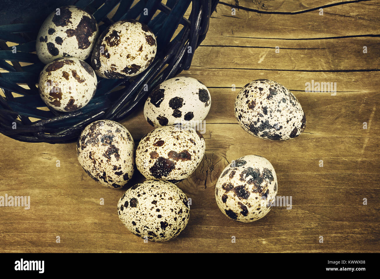 Mehrere frische Eier einer Wachtel rollte aus dem bascket auf die hölzerne Oberfläche Stockfoto