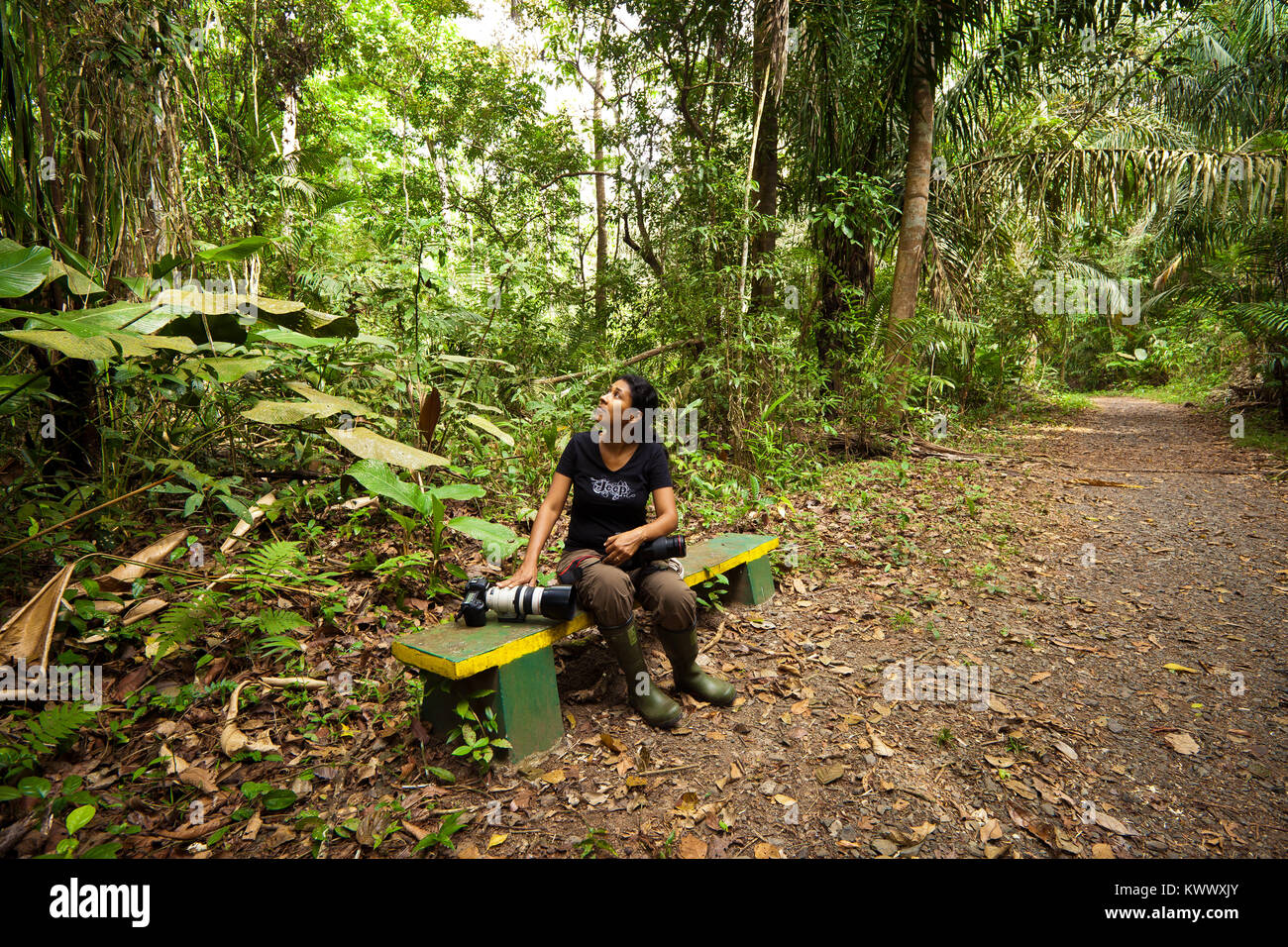Outdoor Fotograf eine Pause an der Plantage Loop Trail im Soberania Nationalpark, Republik Panama. Stockfoto