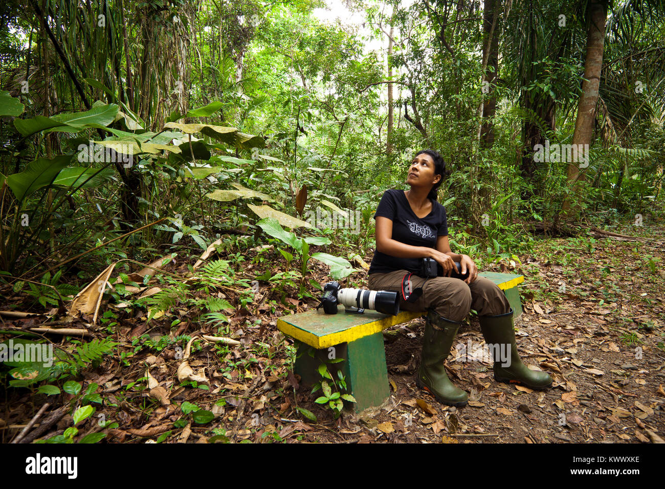 Outdoor Fotograf eine Pause an der Plantage Loop Trail im Soberania Nationalpark, Republik Panama. Stockfoto
