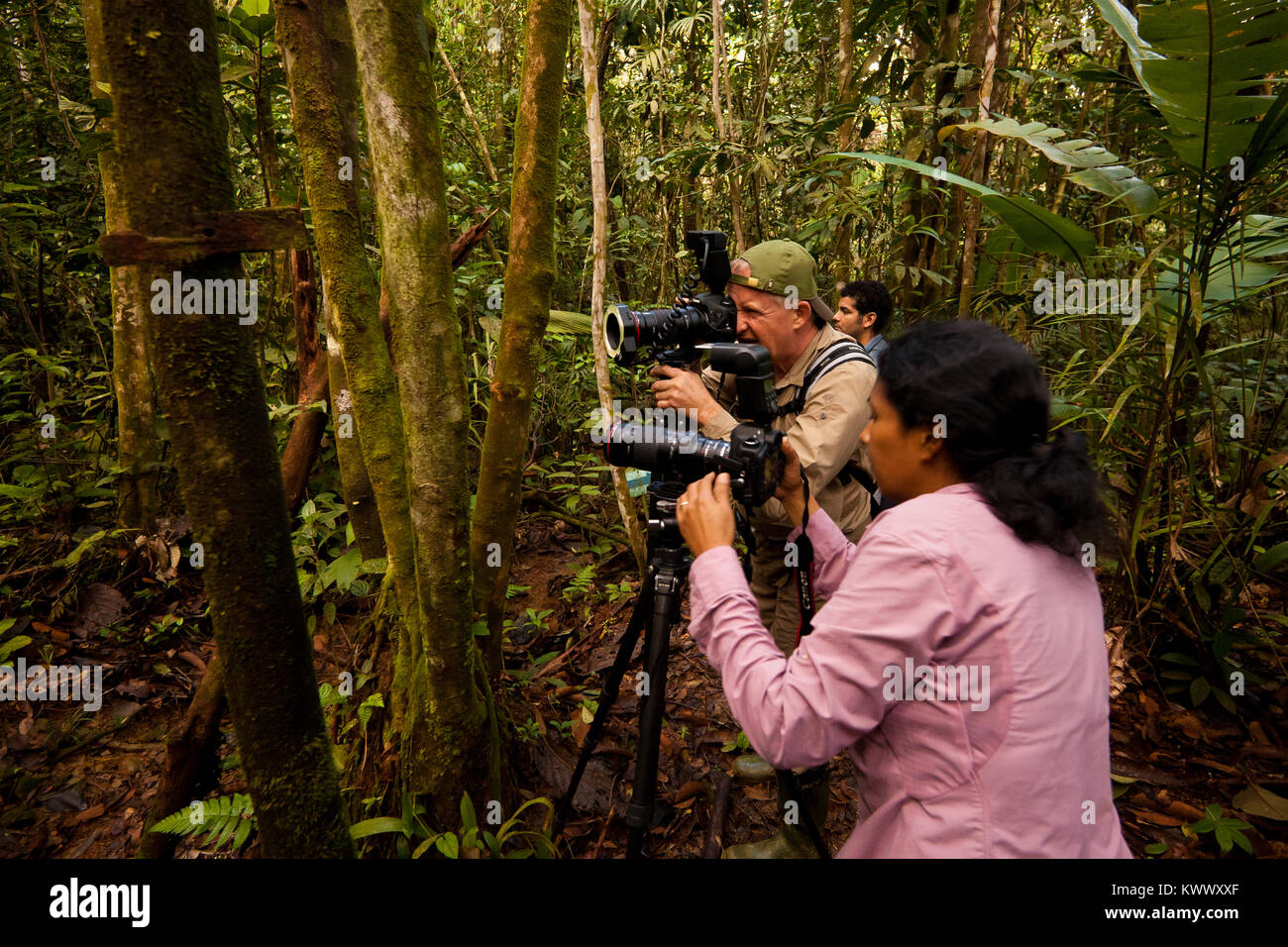 Naturfotografen bei der Arbeit im Regenwald in der Nähe von Burbayar Lodge, Republik Panama. Stockfoto