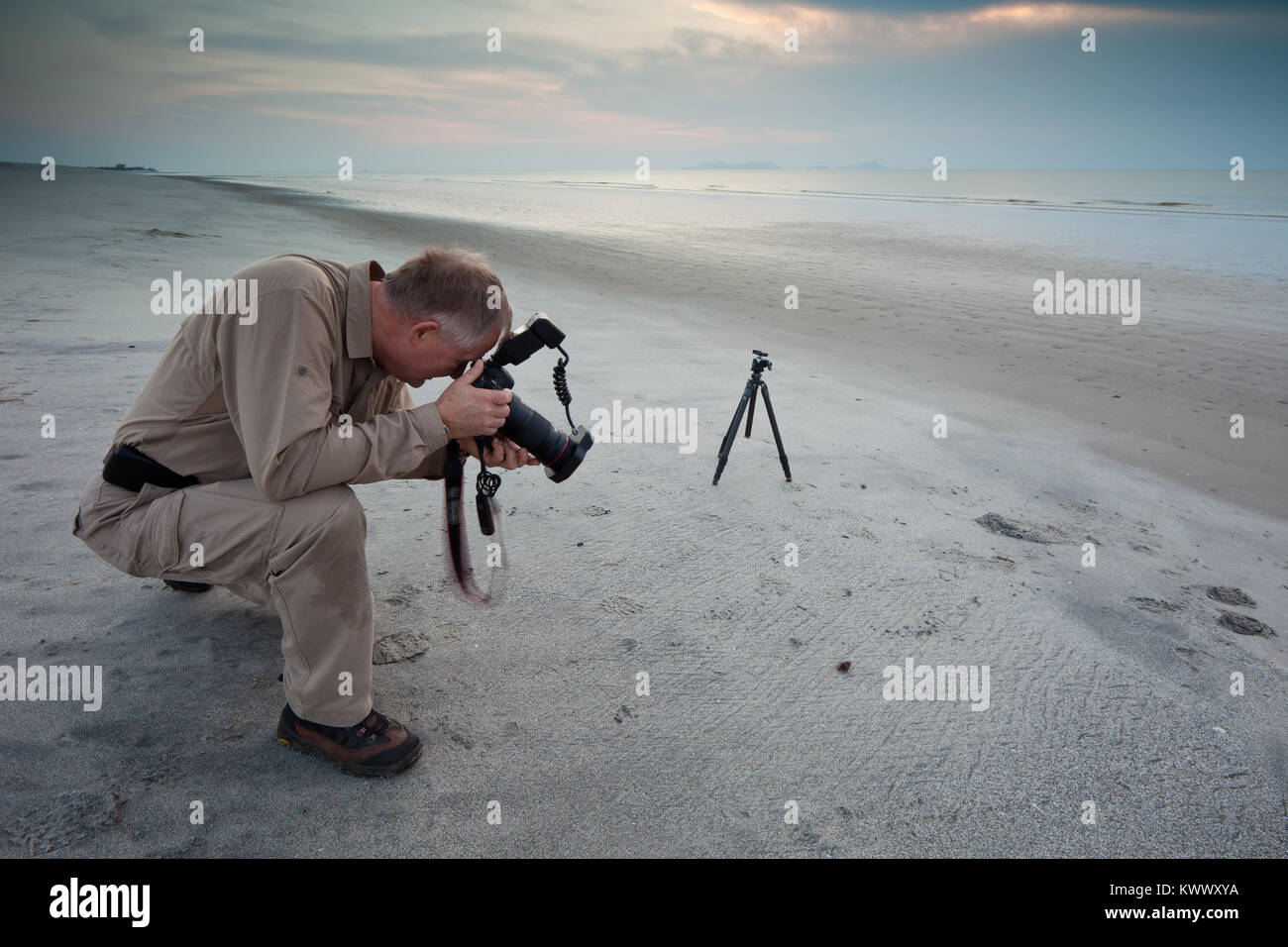 Outdoor Fotografen arbeiten mit Makro Fotografie am Strand von Punta Chame, Pazifikküste, Panama Provinz, Republik Panama. Stockfoto
