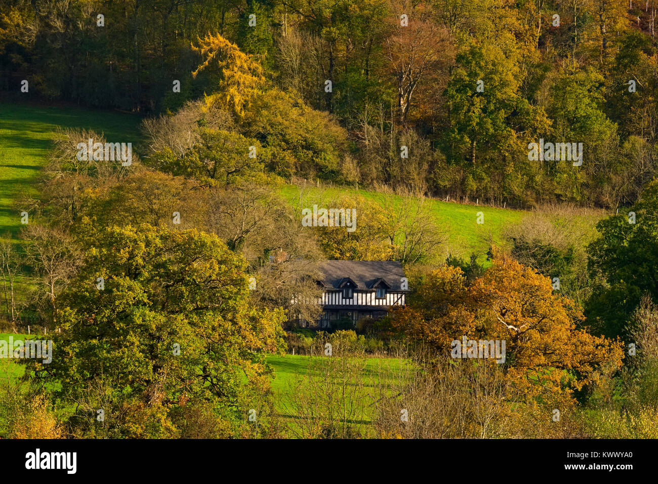 Ein schwarz-weißes Häuschen im Wald hinter Shropshire Hills Discovery Center, Craven Arms, Shropshire, England, Großbritannien Stockfoto