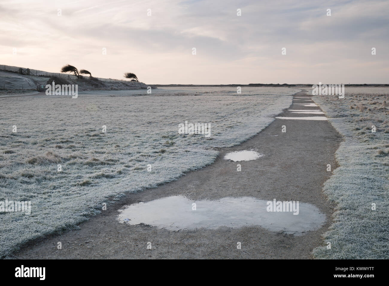 Ein Pfad durch Cuckmere Valley, die zum Meer, mit gefrorenen Pfützen, Frost und geknickte Bäume. Stockfoto