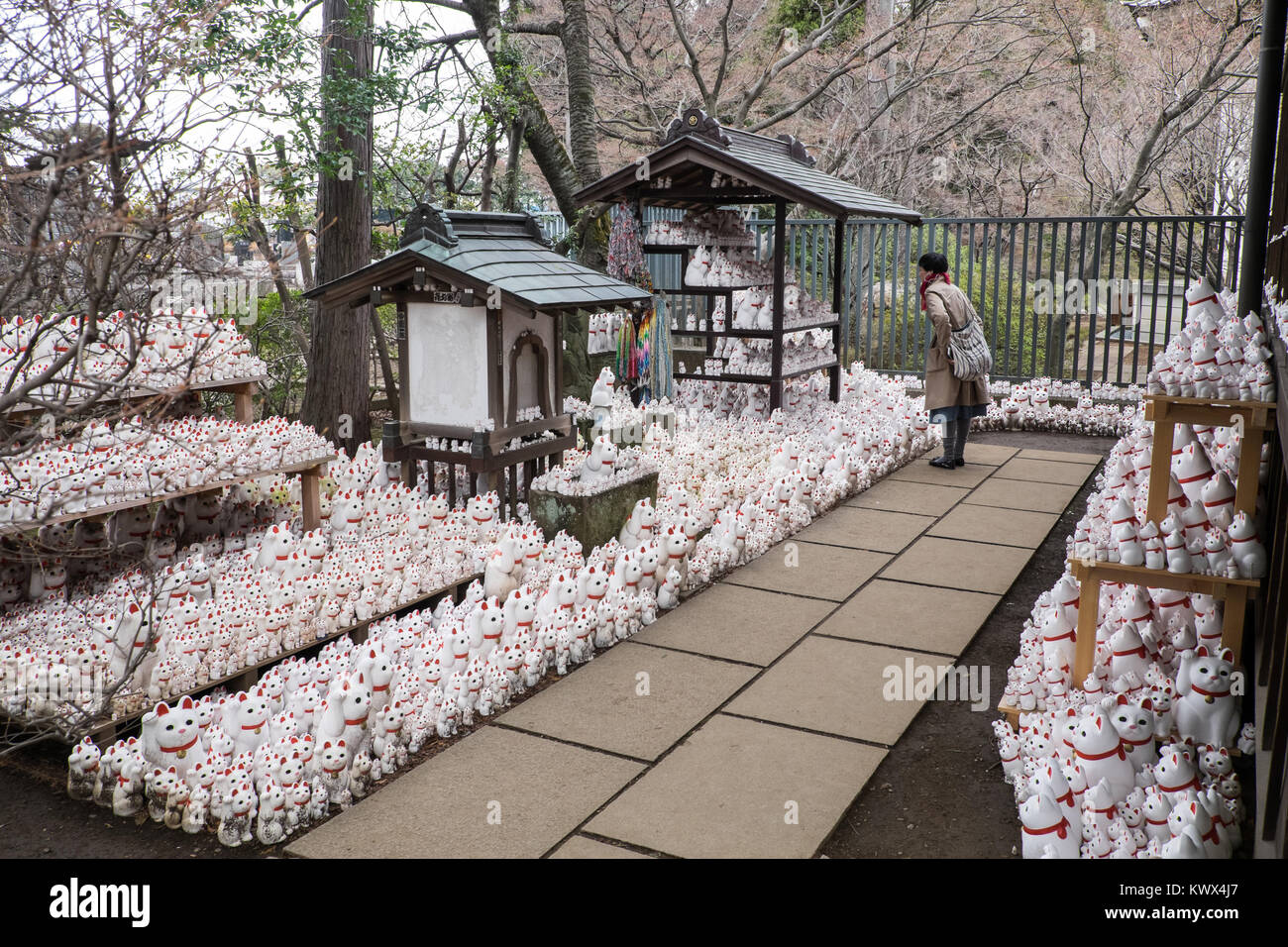 Japan, Tokio, Insel Honshu: Maneki Neko an gotoku-ji, ein Tempel für die "aneki Neko 'Lucky lockenden Katzen, im Bezirk Setagaya gewidmet. Eine co Stockfoto