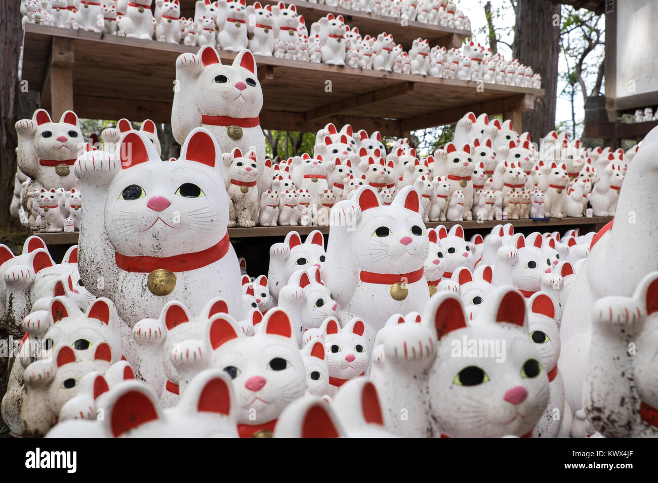 Japan, Tokio, Insel Honshu: Maneki Neko an gotoku-ji, ein Tempel für die "aneki Neko 'Lucky lockenden Katzen, im Bezirk Setagaya gewidmet. Eine co Stockfoto