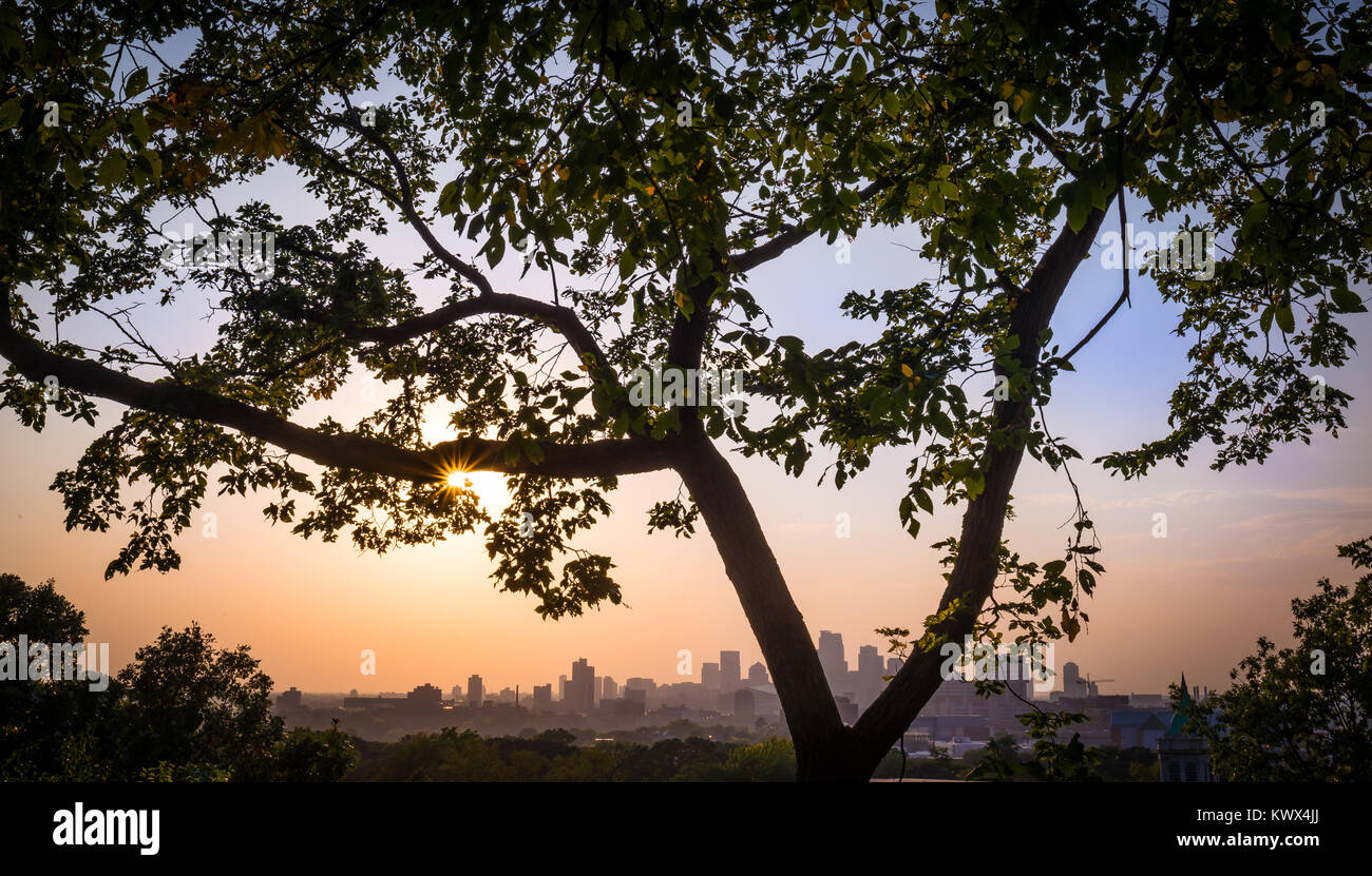 Horizontale Sonnenuntergang mit dem Minneapolis Minnesota Skyline im Abstand mit riesigen Baum, Blätter und Zweige eingerahmt. Himmel ist Pink, Blau und Lila. Stockfoto