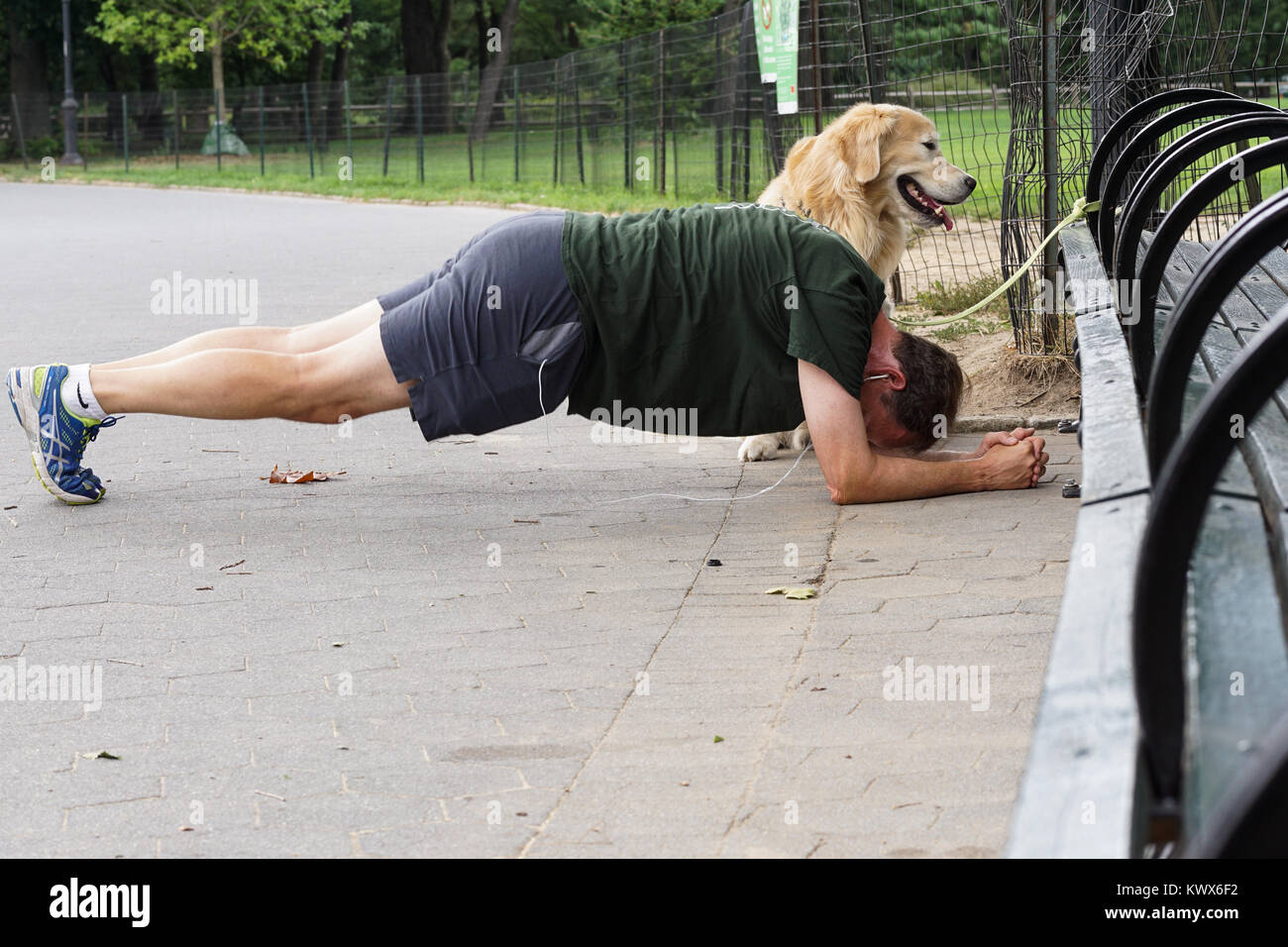 Mann mittleren Alters ein Training in Central Park, während sein Hund geduldig wartet. Stockfoto