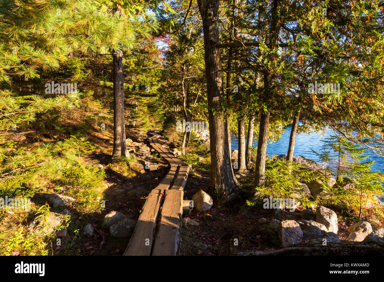 Board Walk durch den Wald um Jordanien Teich in Acadia Nationalpark. Stockfoto