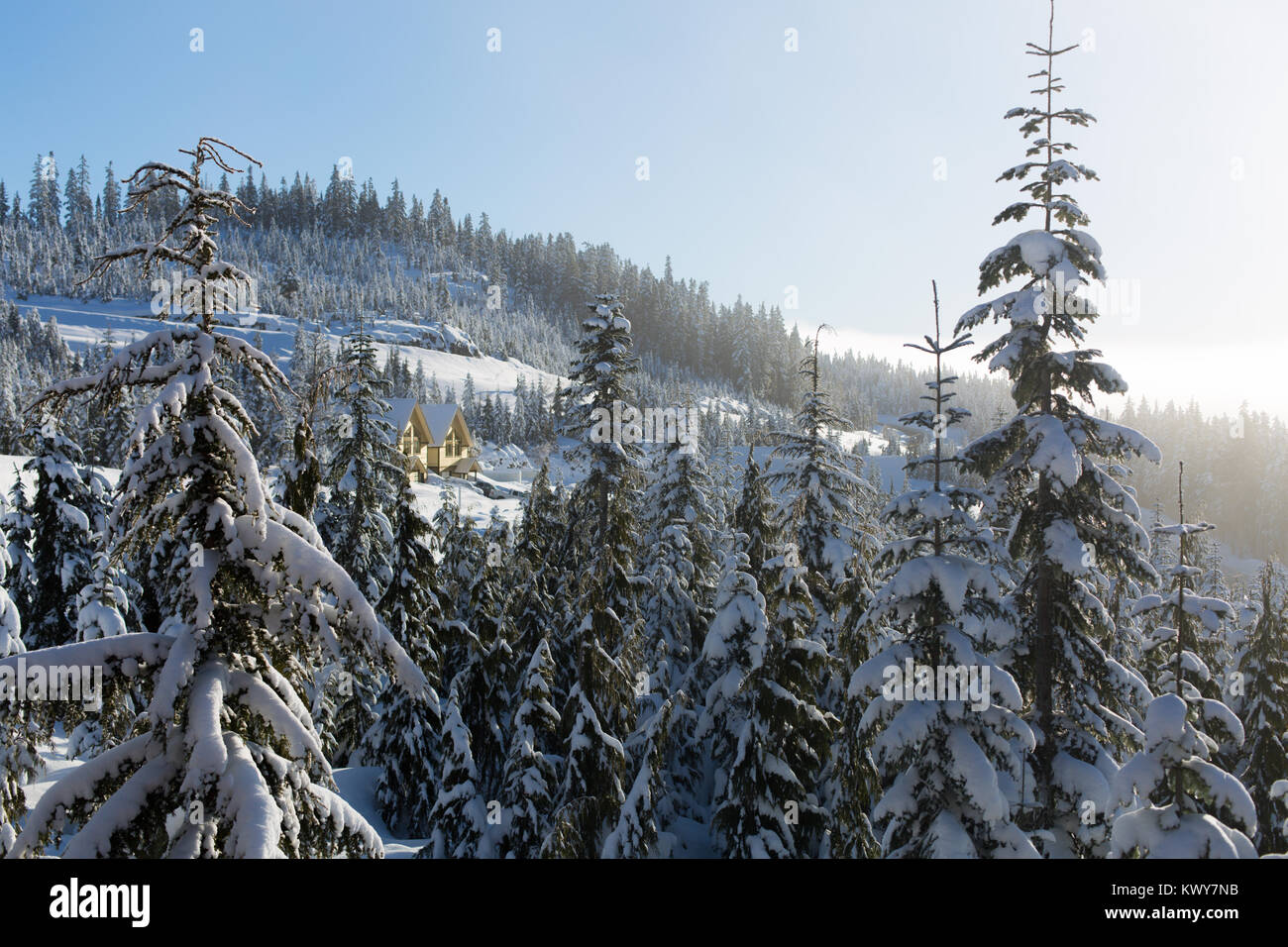 Hütte im Winter Holz Stockfoto