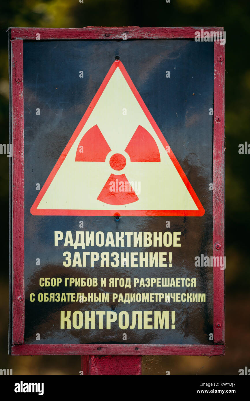 Schild am Eingang zum Wald Warnung vor radioaktiven Kontamination und Verbot der Pilze und Beeren. Stockfoto