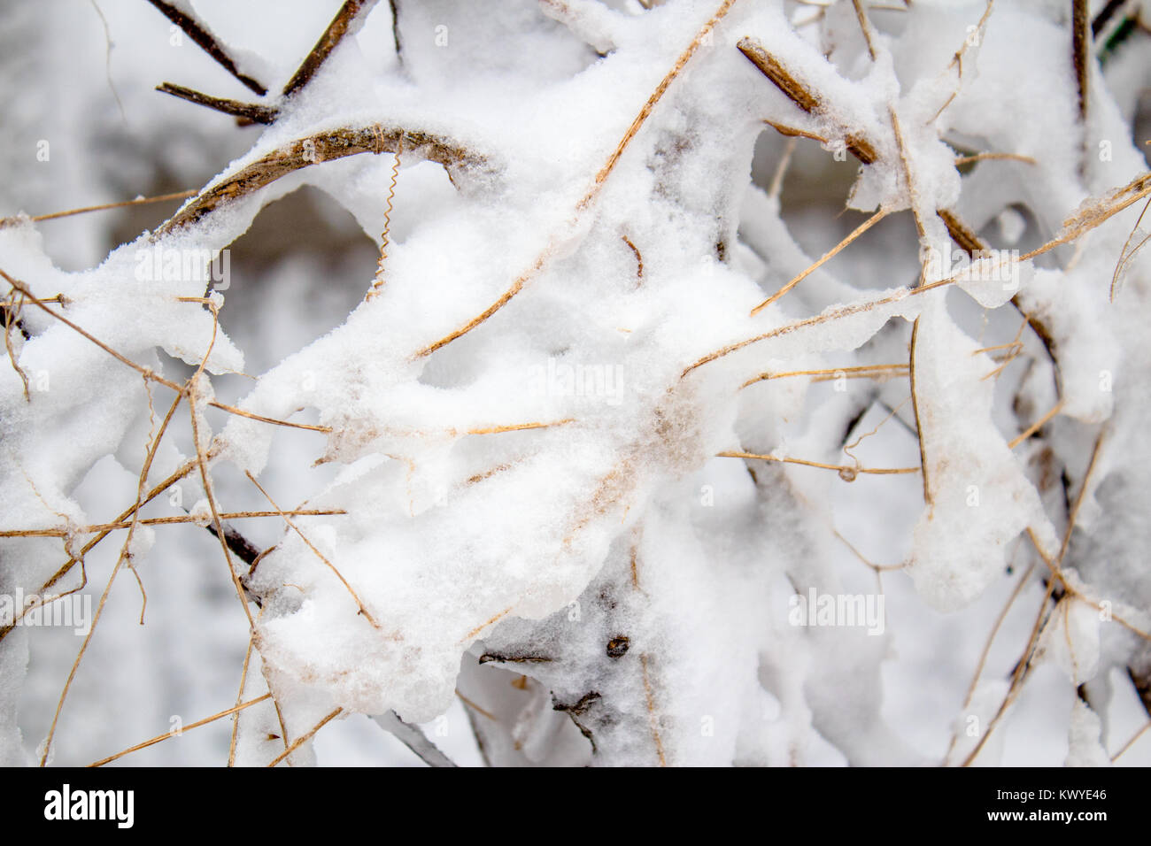 Mit Schnee bedeckt Stockfoto