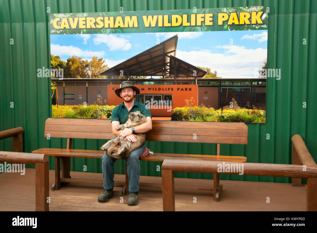 PERTH, Australien - Oktober 13, 2017: Caversham Wildlife Park präsentiert viele einheimische australische Tiere und hautnahe Begegnungen mit über 200 Arten Stockfoto