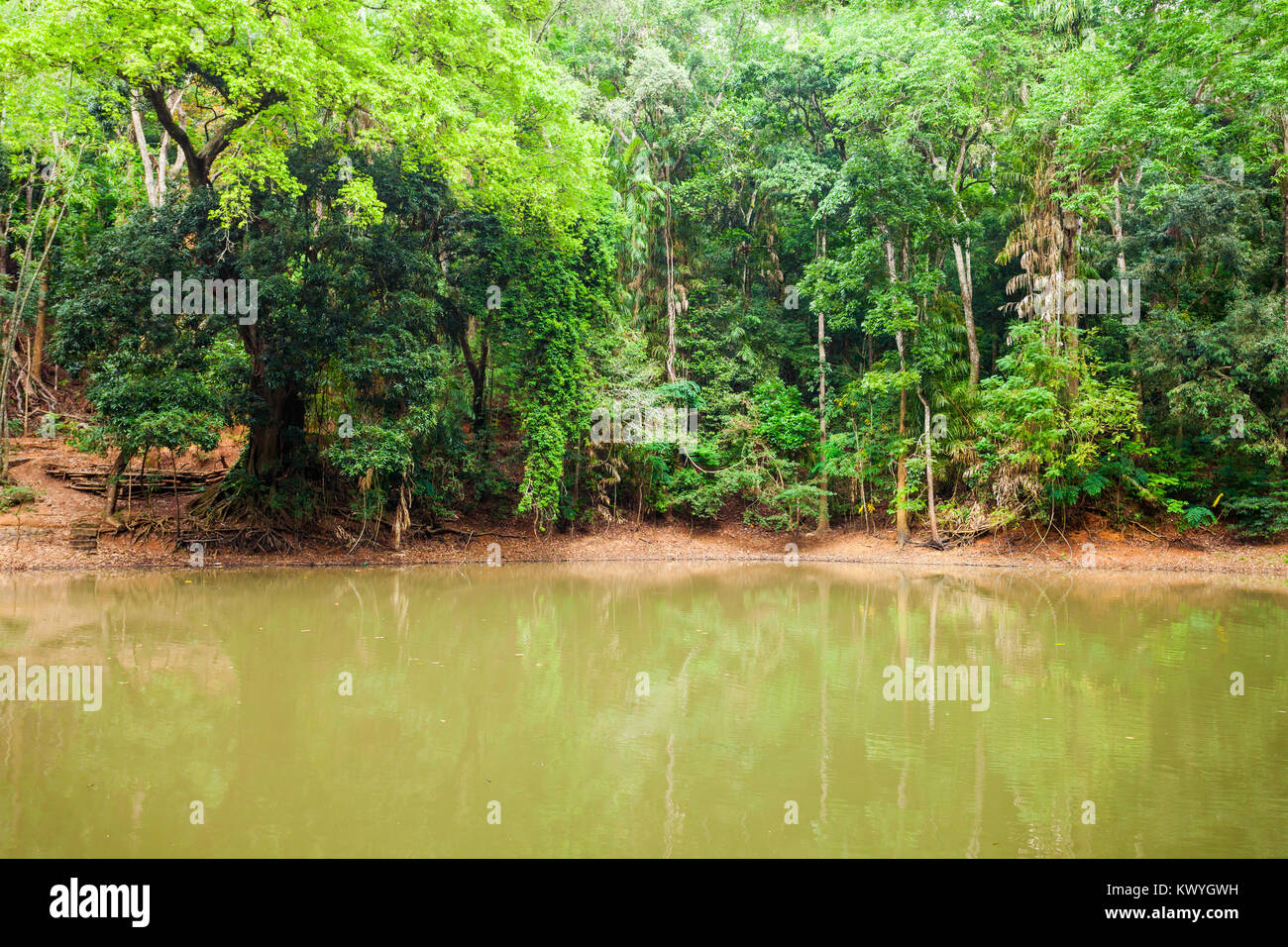 Royal Teich in Kandy Udawatta Kele Royal Forest Park oder udawattakele Heiligtum in der Stadt Kandy, Sri Lanka Stockfoto