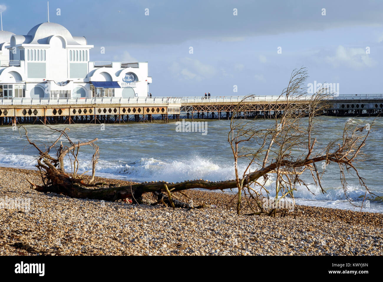 Ein großer Baum ist unter den Trümmern bis auf den Strand gespült während Sturm eleanor wie hier in der Nähe von South Parade pier Southsea England uk gesehen Stockfoto