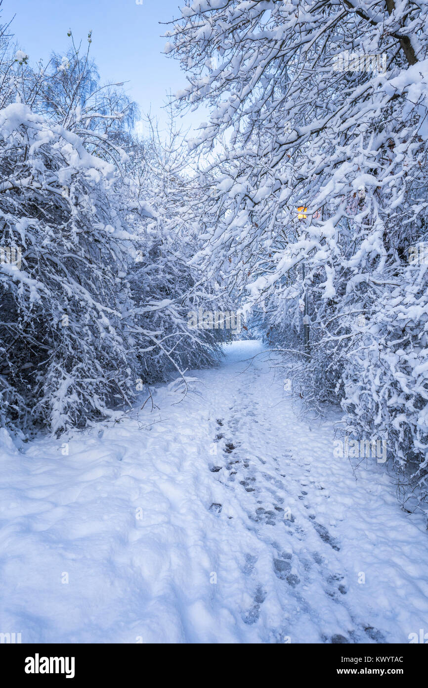 Britische Park im Winter mit Zweigen bedeckt im Schnee, vertikale crop Stockfoto