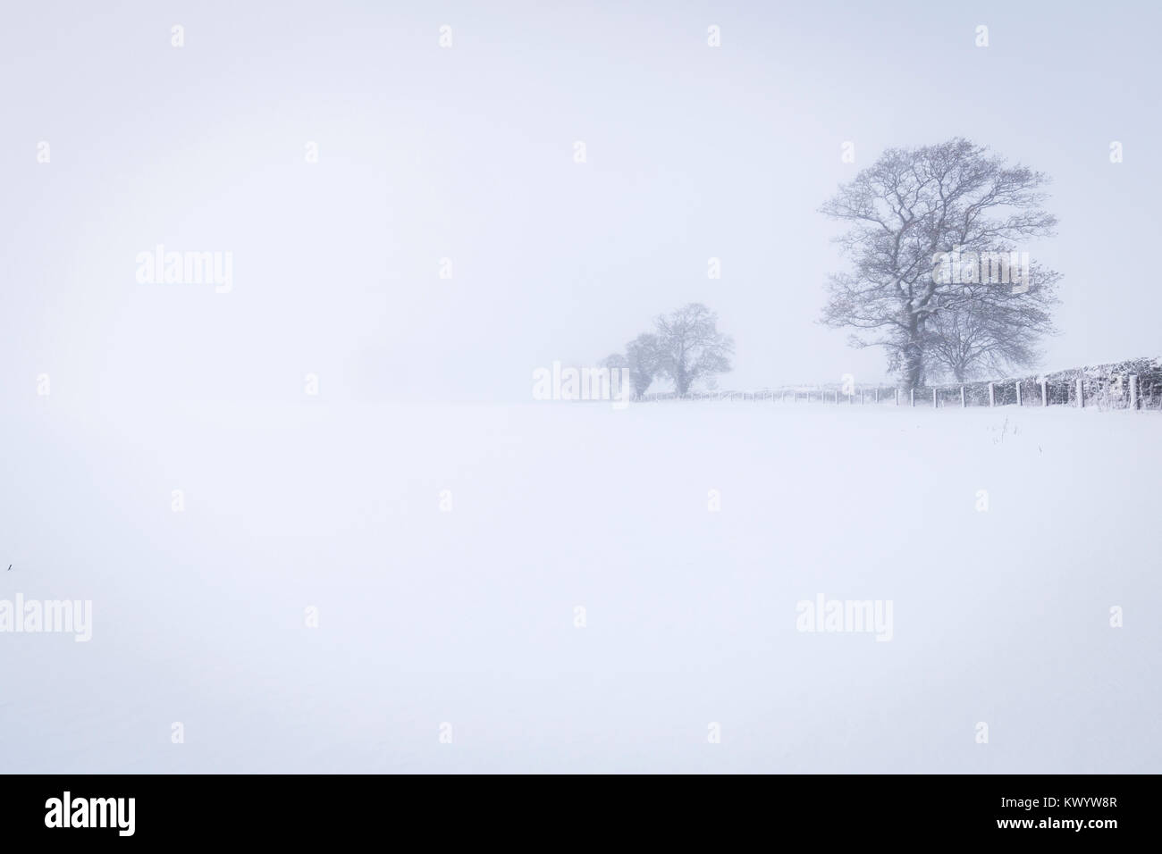 Weiße Taste Ton winterliche Landschaft im Blizzard Stockfoto