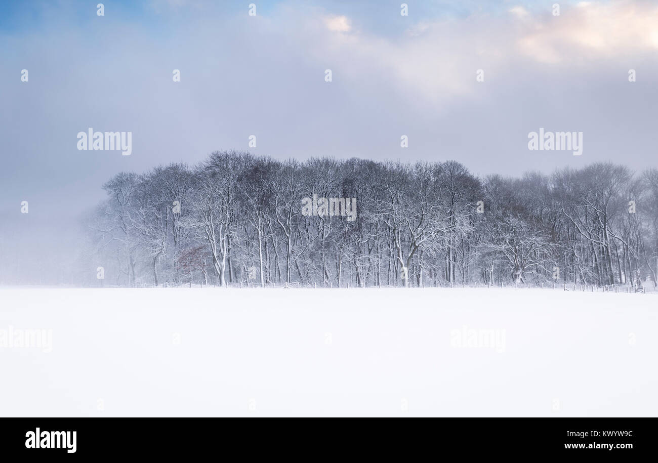 Winterliche Landschaft von Blizzard über britische Landschaft. Stockfoto