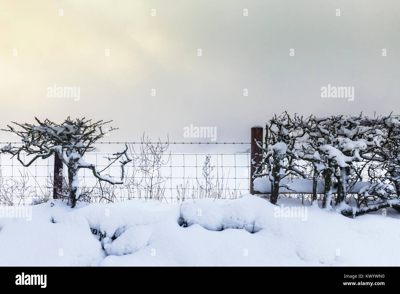 Stacheldraht zaun im Schnee bei Blizzard in Shropshire Hills, UK abgedeckt Stockfoto