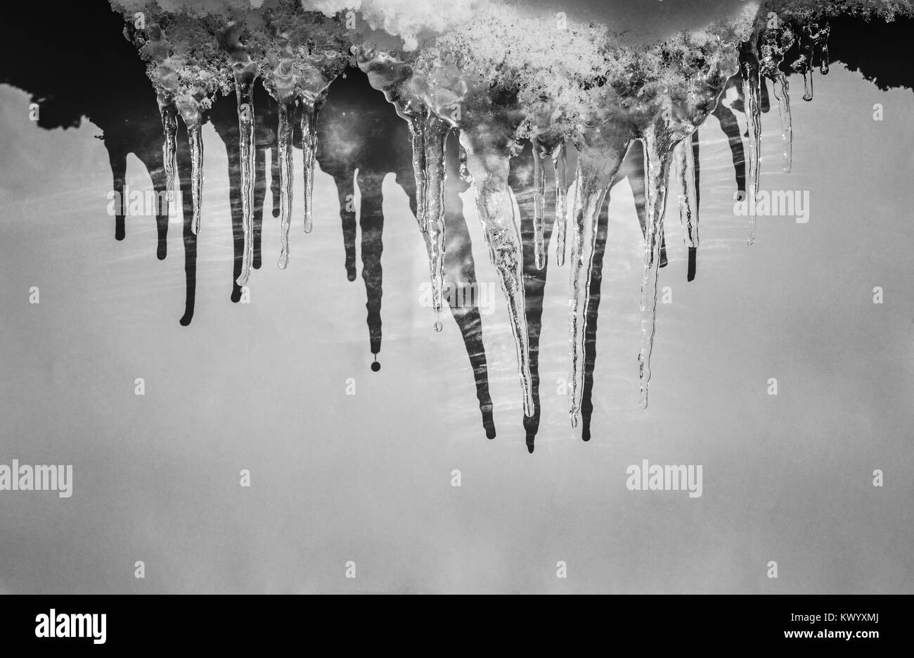 Winter Eiszapfen gebildet der schmelzenden Schnee, schwarz-weiß Foto Stockfoto