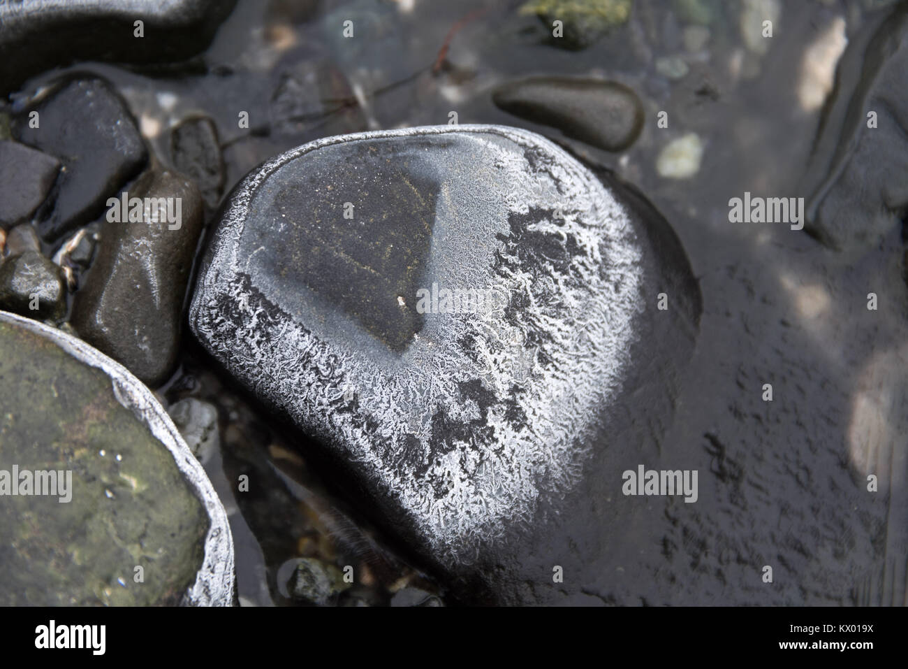 Muster durch das Salz aus dem Meerwasser, wie es friert gebildet. Stockfoto