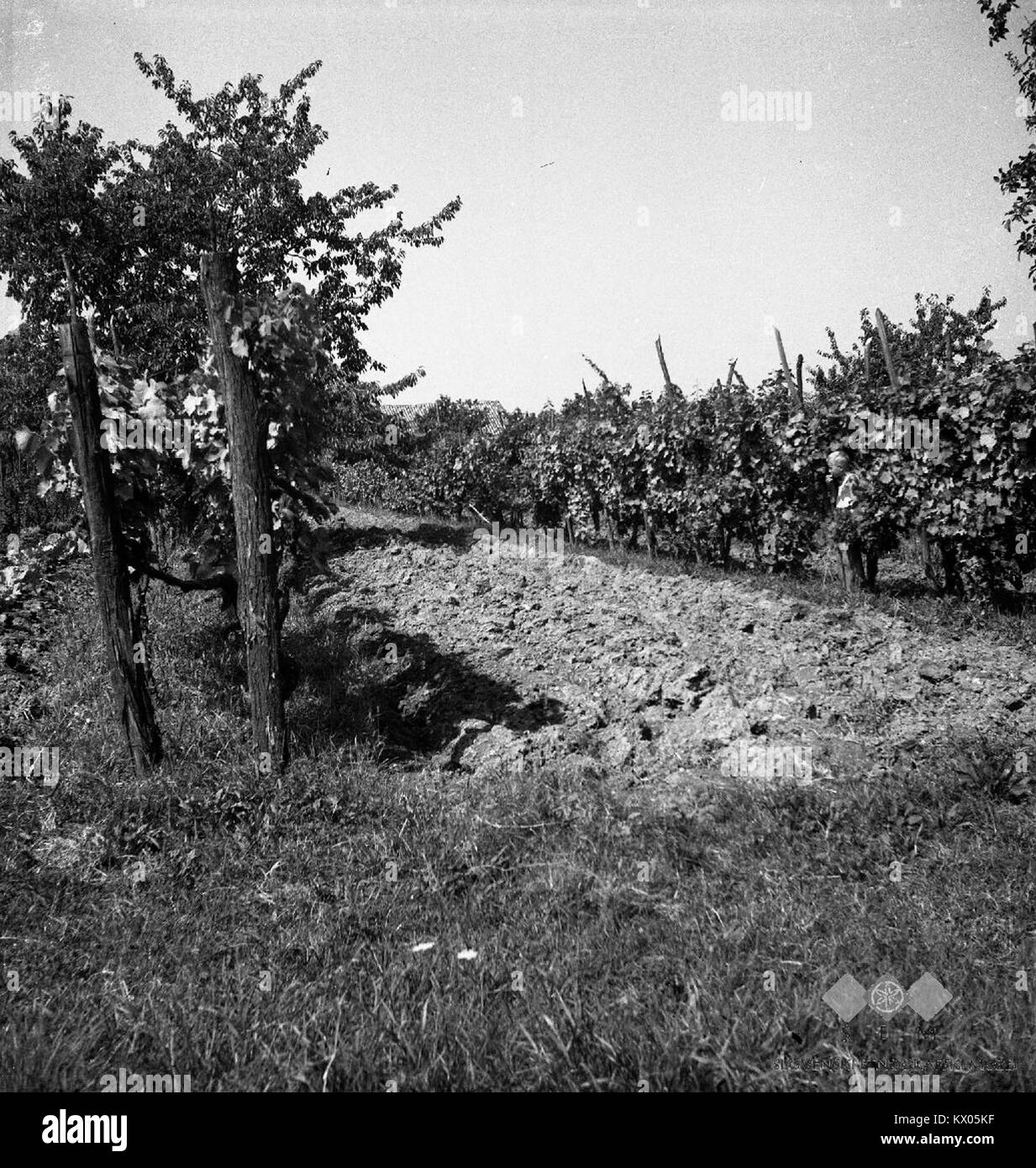 Dieses Werk, das Medana 1953 schuf, zeigt eine abstrakte Komposition, die das Thema Balance und Symmetrie erforscht. Der Titel deutet auf die Konvergenz der Elemente hin zu einem zentralen Punkt hin, der für Medanas Ansatz zur Abstraktion charakteristisch ist. Stockfoto