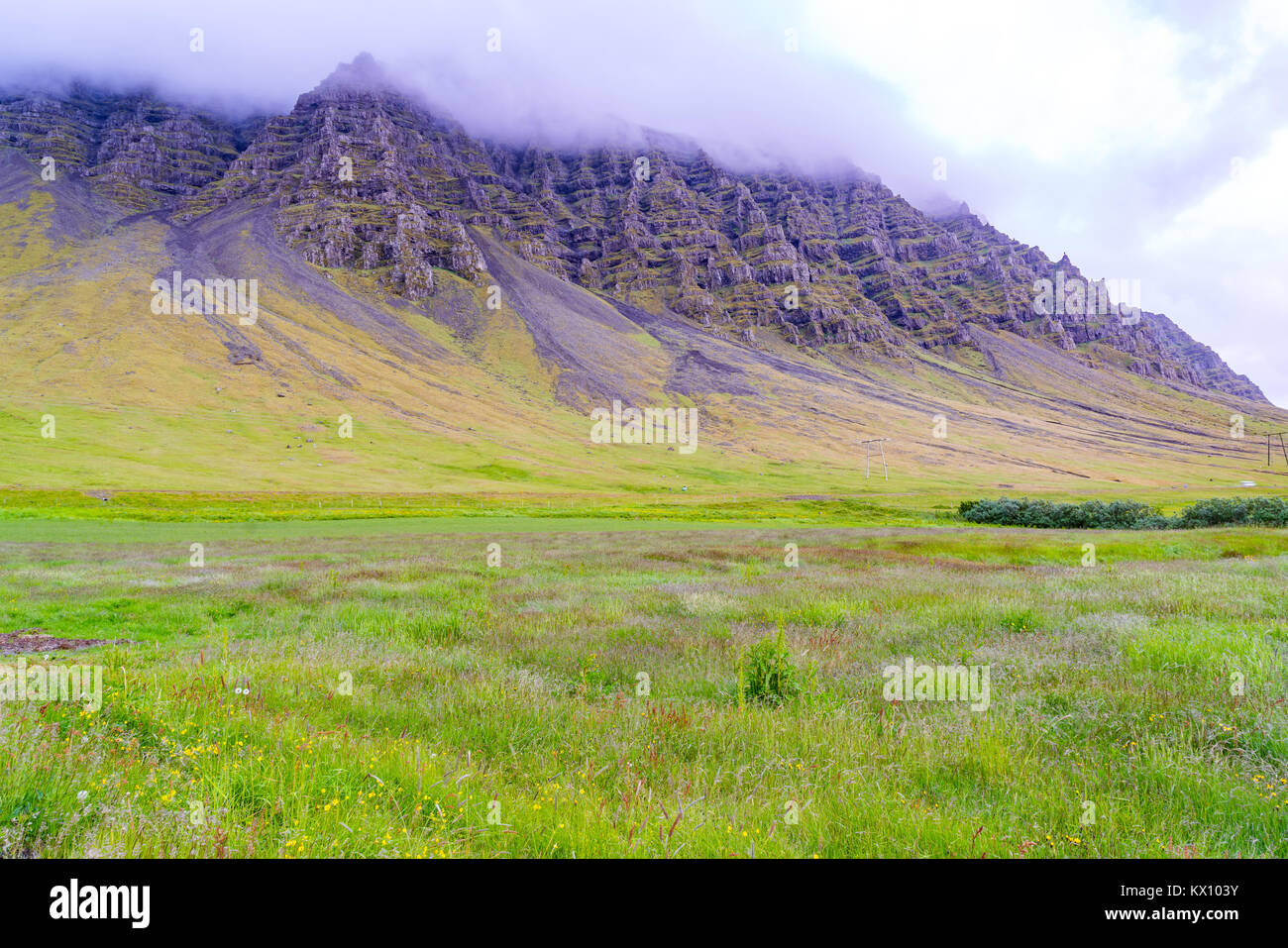 Blick auf Wiese am hohen Berg in Island Stockfoto