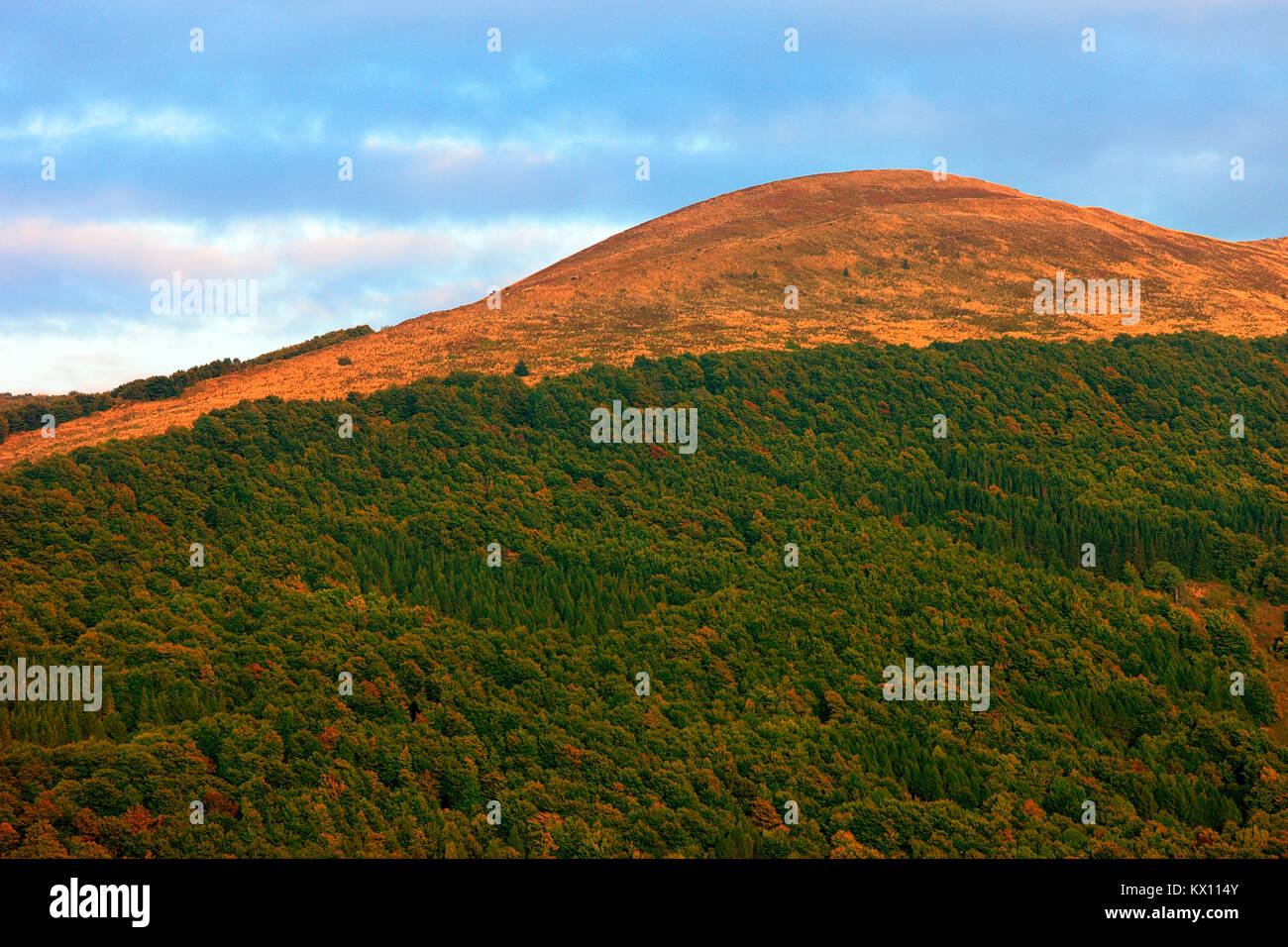 Gras Wiese hängen der Polonina Carynska Hill und Prowcza Tal in Bieszczady Gebirge im Südosten von Polen - bieszczadzki Nationalpark Stockfoto