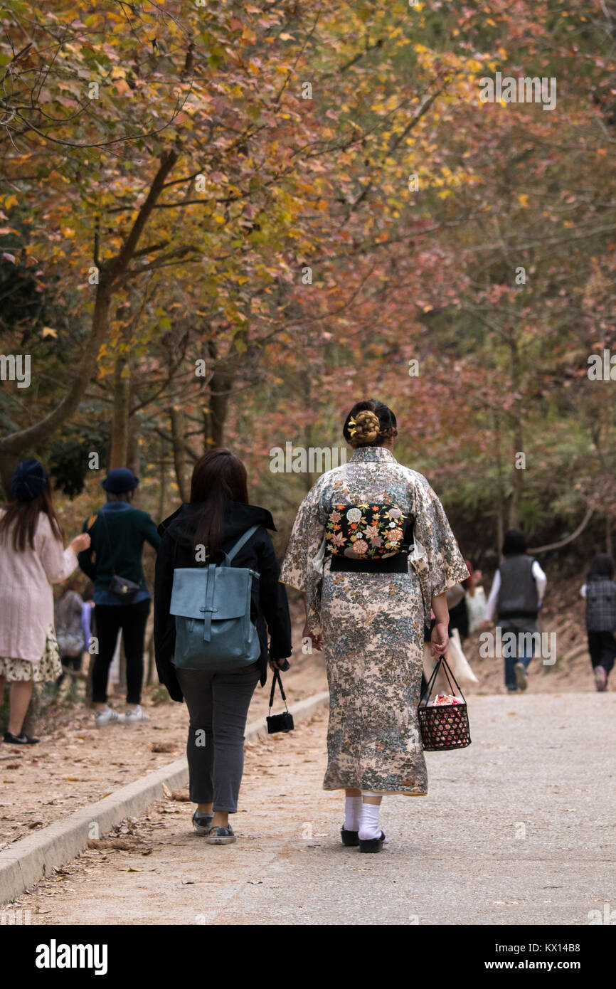 In Tai Tong lychee Tal im Winter Ahornblätter genommen Stockfoto