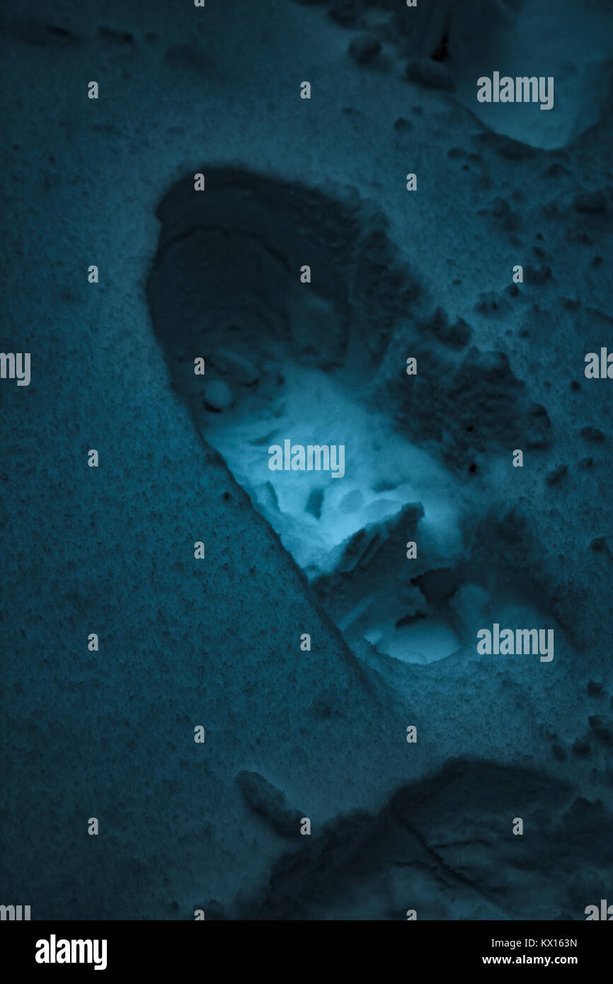 Hoof print in -Fotos und -Bildmaterial in hoher Auflösung - Seite 2 - Alamy