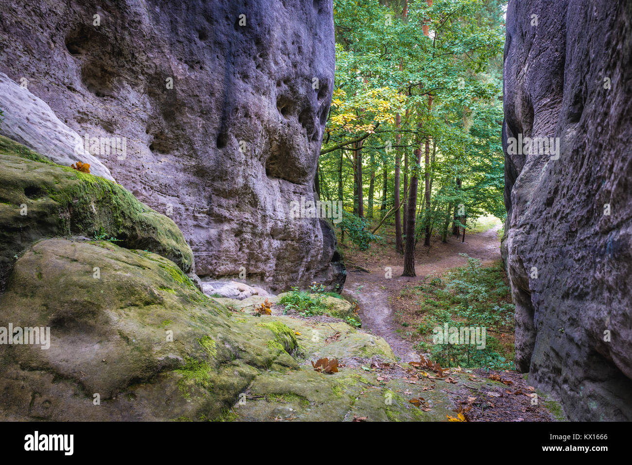 Felsformation Bile Kameny (weiße Steine) auch genannt Sidnei Kameny (Elefant Steine) im Lausitzer Gebirge des westlichen Sudeten, Tschechische Republik Stockfoto