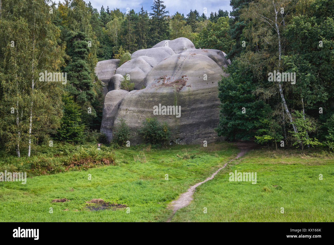 Bile Kameny (weiße Steine) auch genannt Sidnei Kameny (Elefant Steine) - Sandstein Ausbildung in den Lausitzer Bergen des westlichen Sudeten, Tschechische Republik Stockfoto