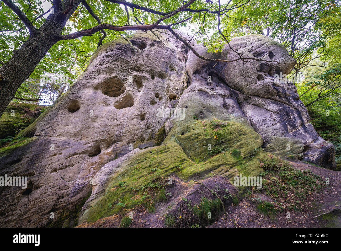 Felsformation Bile Kameny (weiße Steine) auch genannt Sidnei Kameny (Elefant Steine) im Lausitzer Gebirge des westlichen Sudeten, Tschechische Republik Stockfoto