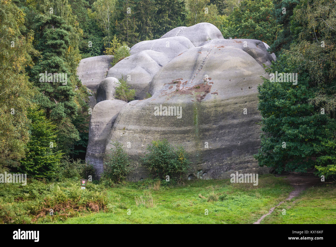 Bile Kameny (weiße Steine) auch genannt Sidnei Kameny (Elefant Steine) - Sandstein Ausbildung in den Lausitzer Bergen des westlichen Sudeten, Tschechische Republik Stockfoto