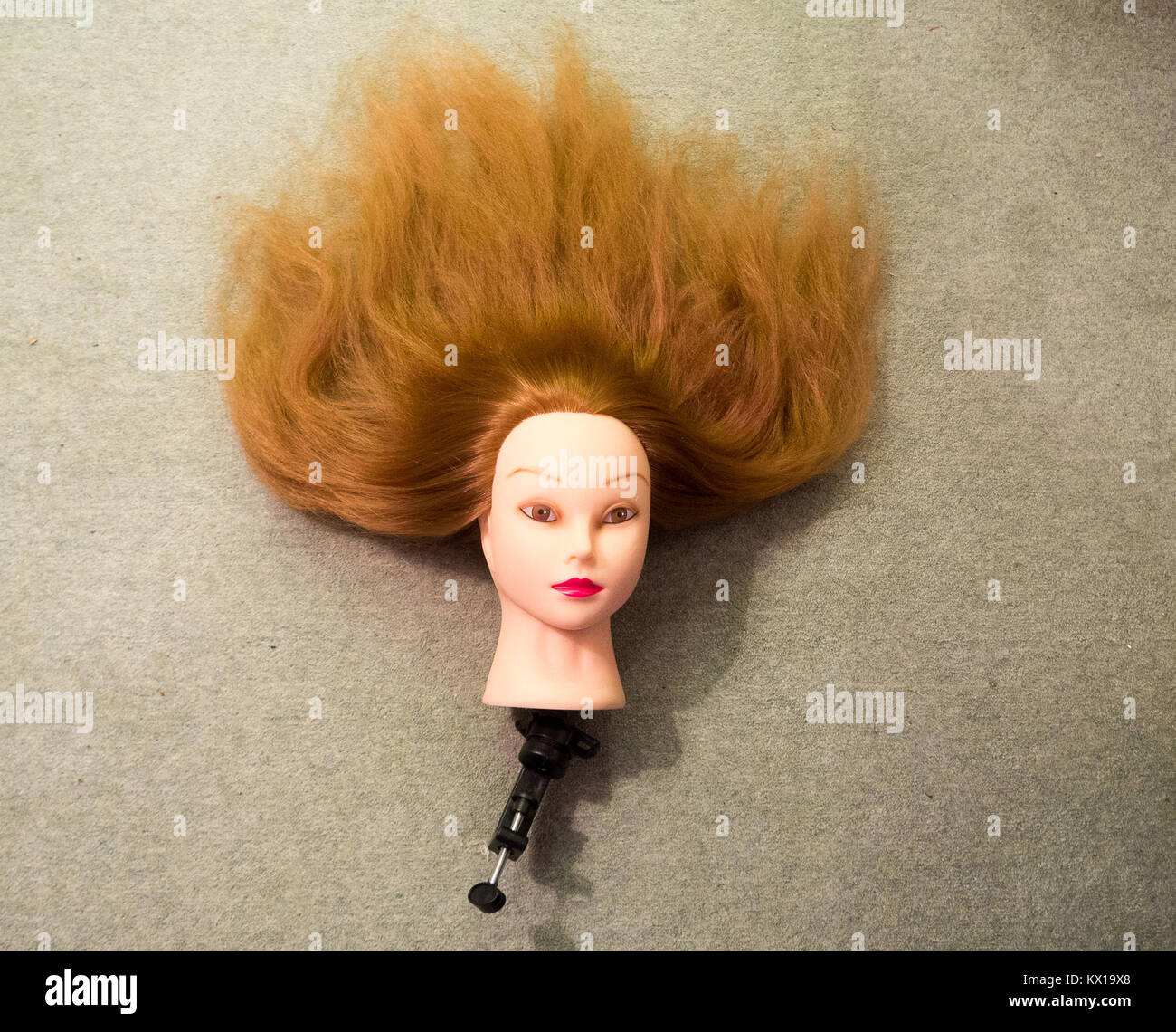 Abgetrennter Kopf Halloween Requisite - Realistische Latex-Dekoration 44x26cm