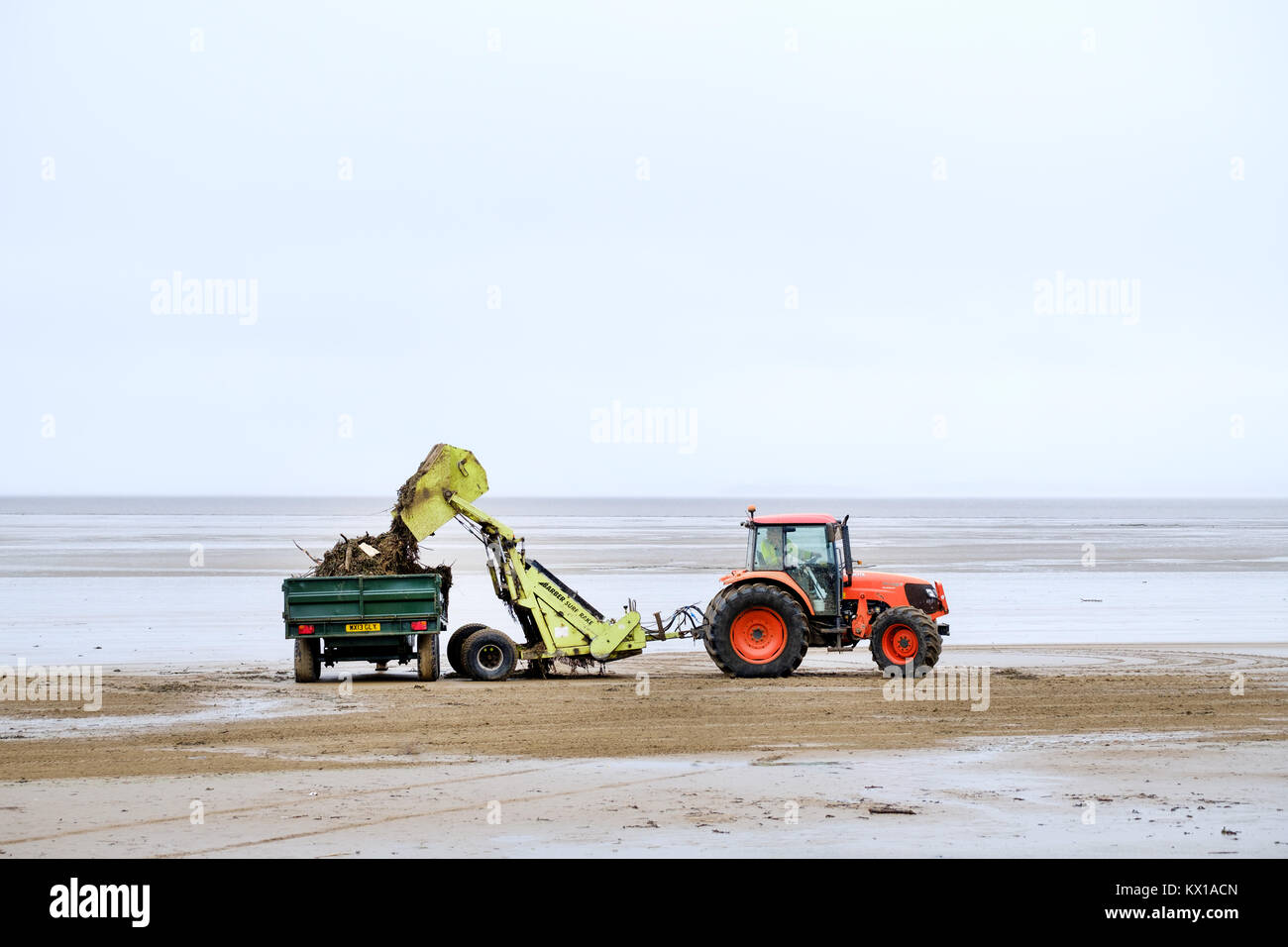 Eine örtliche Behörde Traktor um Rückstände verwendet und entsorgt oder angeschwemmte Unrat Verschmutzen der Strand in Weston-super-Mare, Großbritannien. dessen Belastung eines Anhängers Stockfoto