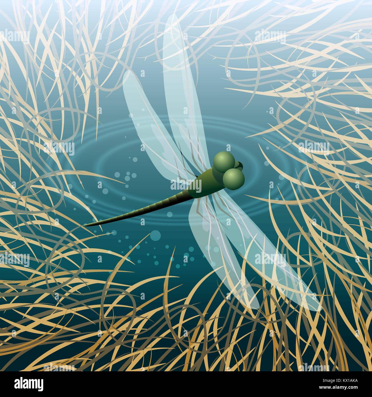 Libelle fliegen über den Teich. Vector Illustration