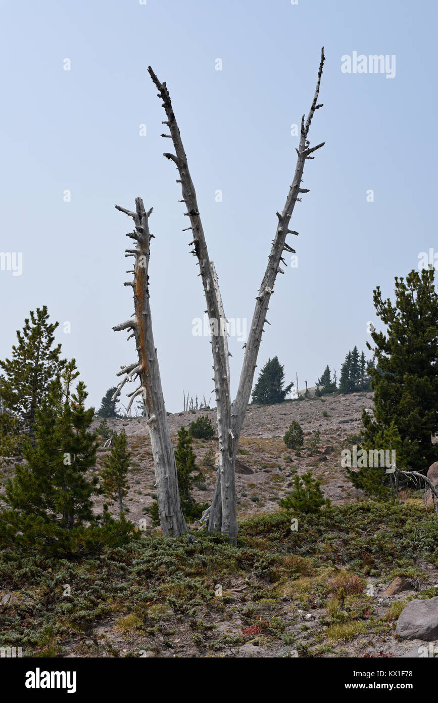 Mount Hood National Park unter einem verrauchten Atmosphäre, California, United States Stockfoto